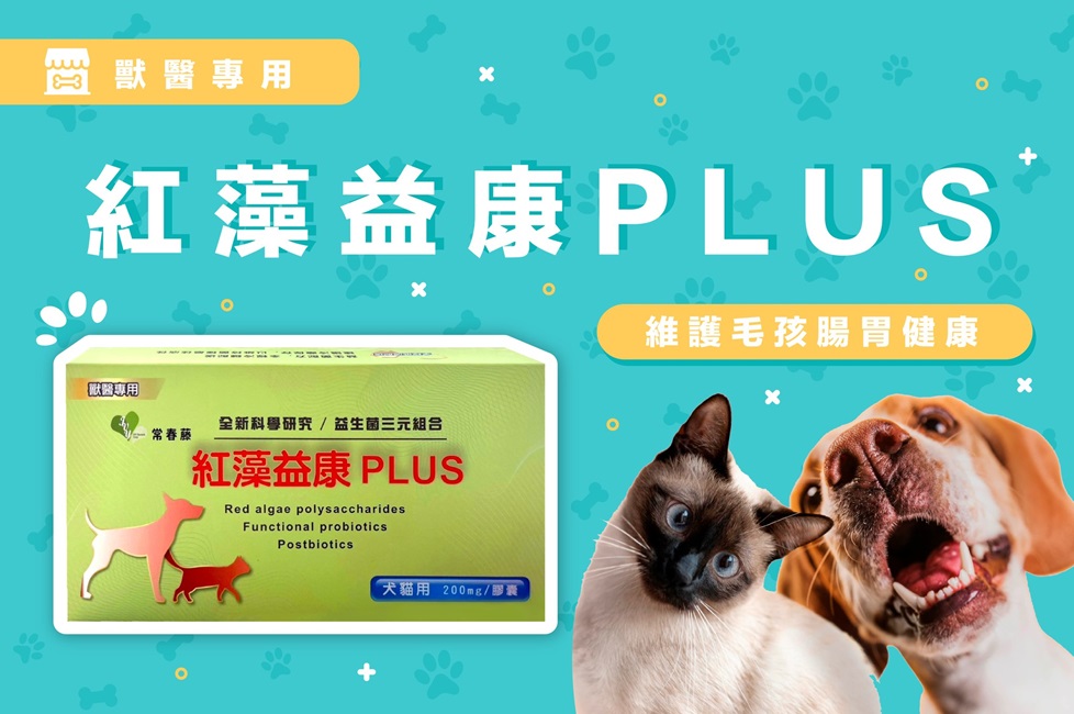 紅藻益康PLUS